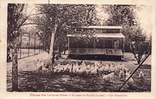 45* ST JEAN DE BRAYE long alley breeding - chicken coop RL58,0179