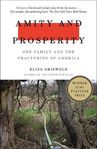 Eliza griswold amity and - eliza,