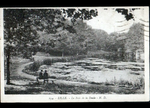 Lille etang bois de - (59),