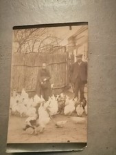 TIRAGE ARGENTIQUE, PAYSANS DANS LE POULLAILLER