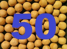 [14,26€/100g] 50 ROLLE