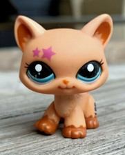 Littlest Petshop chat Main