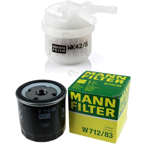 Mann filter ensemble - mann-filter, de