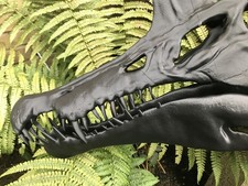Large 3D Printed Spinosaurus Skull – Prehistoric Fossil Jurassic Park Dinosaur.