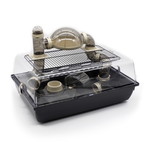 Cage rongeur alex - cage,