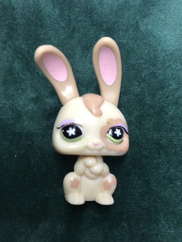 Petshop lapin garenne - 🌺,