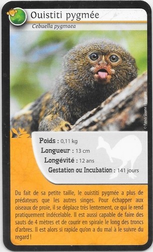 Carte bioviva ouistiti - -,