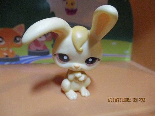 Petshop lapin garenne - lapin, de