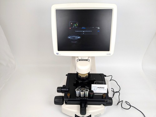 Microscope fluorescence - microscope,