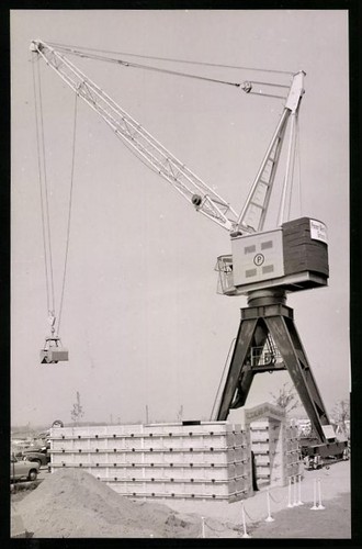 Photographie peine grue de - peine,,