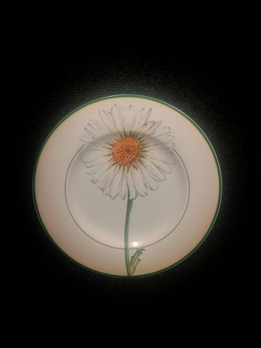 Belle assiette villeroy - belle,