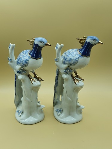Paire oiseaux paradis - paire,