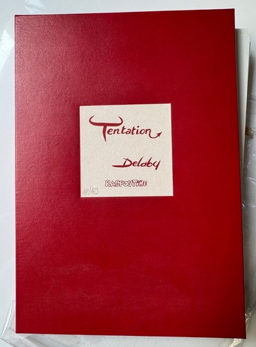 Portfolio cartonne delaby - portfolio,