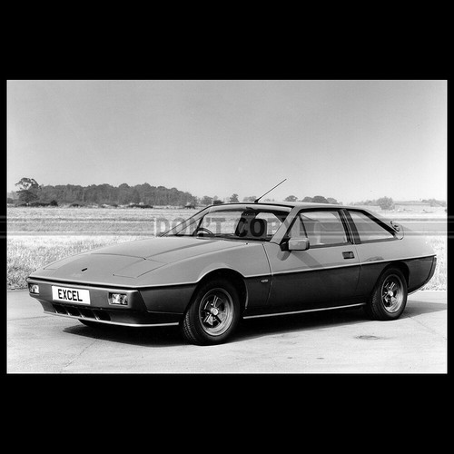 Photo 029627 lotus eclat - lotus,