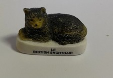 FEVE CHAT LE BRITISH SHORTHAIR
