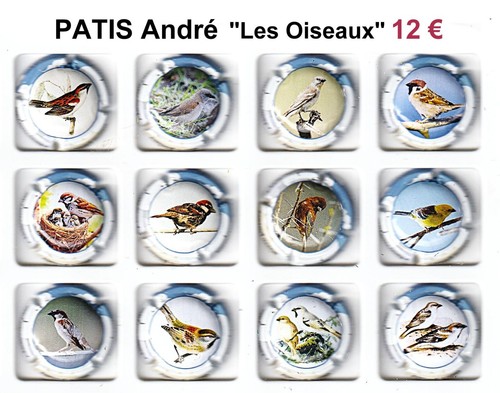Capsules champagne patis - champagne,