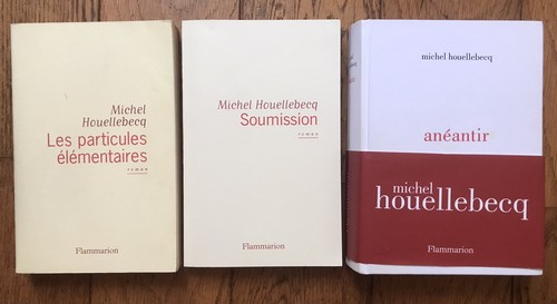 Michel houellebecq 3 - houellebecq,