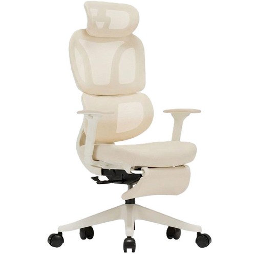 Chaise bureau ergonomique - chaise,