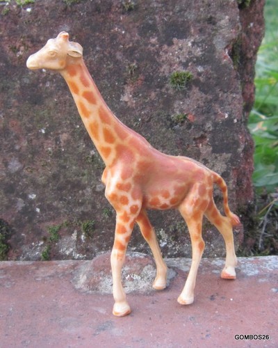 Clairet animaux sauvage zoo - sauvage, /