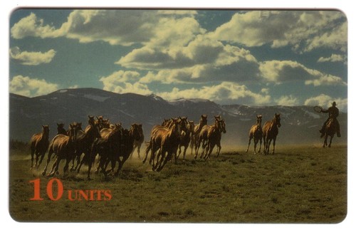 10u troupeau chevaux dans - de,