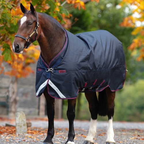 Horseware amigo bravo xl - bravo,