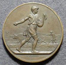 Médaille Concours de Porcs