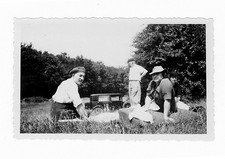 C133 Déjeuner sur l'herbe