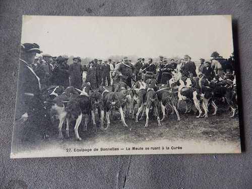 Cpa chasse courre - à, en