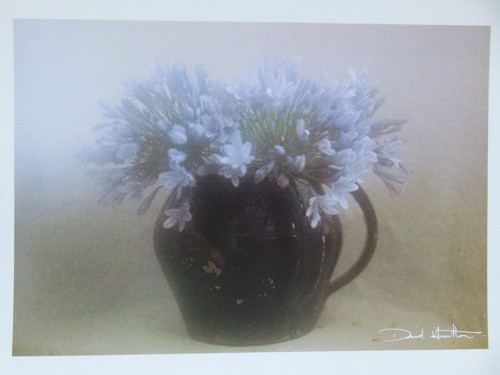Carte postale david - carte,