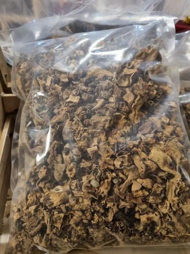 Morilles queus 2 - 1, kg