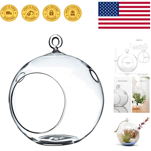Elegant diy hanging terrarium - hanging,