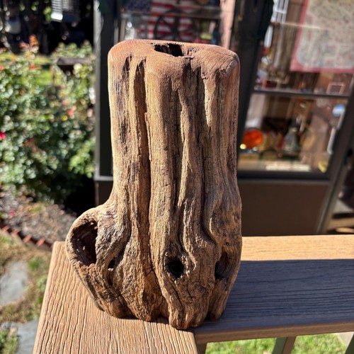 Hollow hardwood driftwood - hollow,