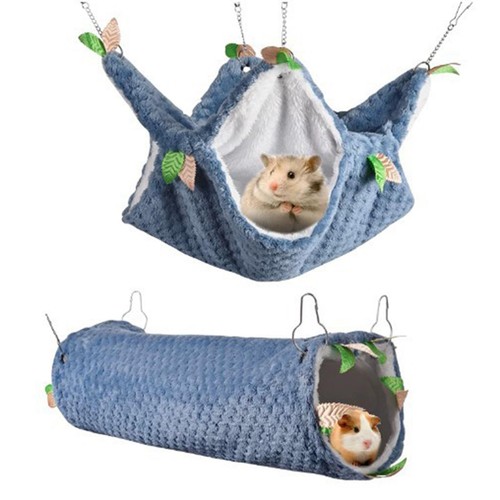Animal compagnie hamster - compagnie,