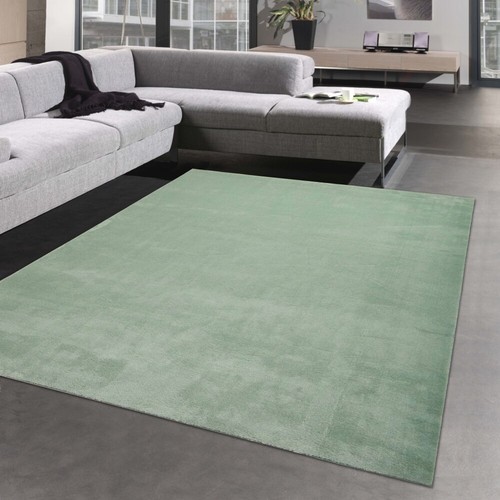 Tapis salon shaggy - shaggy, à