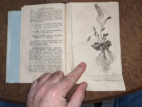 Livre ancien adami - livre, ancien-j.