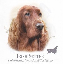 TEE SHIRT MANCHES LONGUES