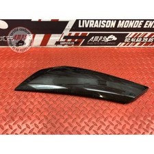 Cache sur flanc de carénage