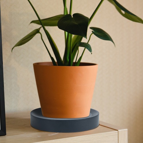 Plateau roulette pour - , plante
