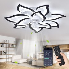 Ventilateur De Plafond Avec