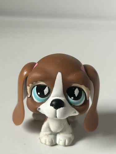 Authentic littlest lps - authentic,