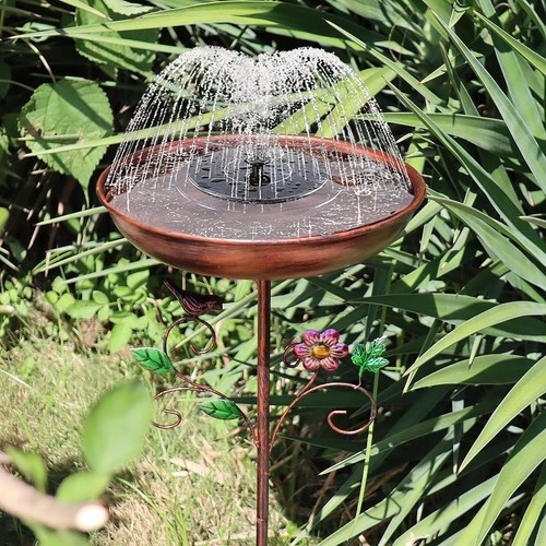 Bain oiseaux avec - bain,