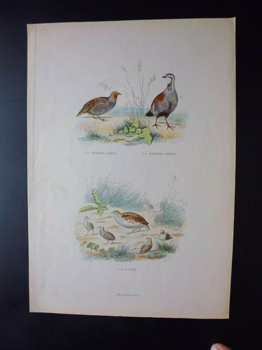 Gravure couleur