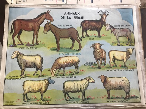 Ancienne affiche scolaire - scolaire, an