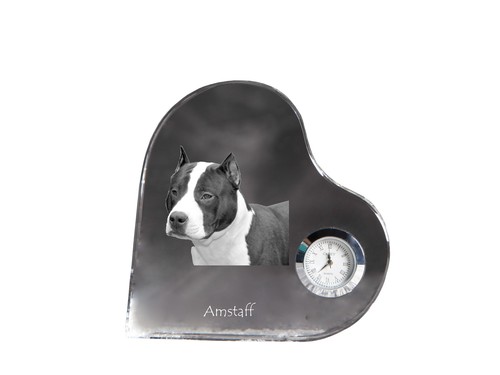 American staffordshire - american,