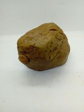 Auge distributeur de grillon