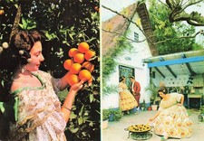 SPAIN VALENCE PAELLA