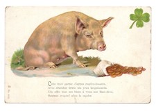 Cochon . La Truie garnie