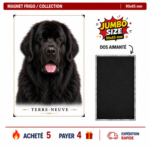 Magnet terre neuve - ,