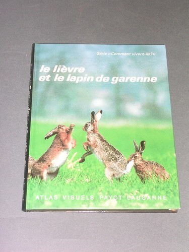 Chasse simon lièvre - simon, le