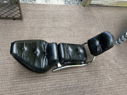 Seat and sissy bar - seat,